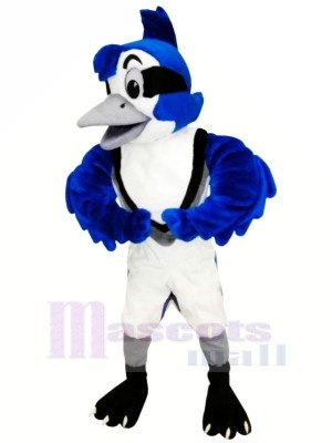 Cute Blue Jay Mascot Costumes Animal