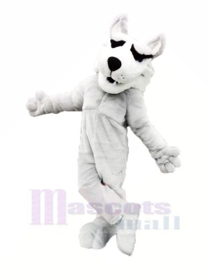 White Husky Mascot Costumes Cartoon