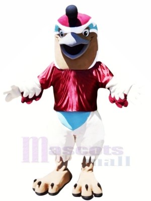 Funny Quail Mascot Costumes Cartoon	