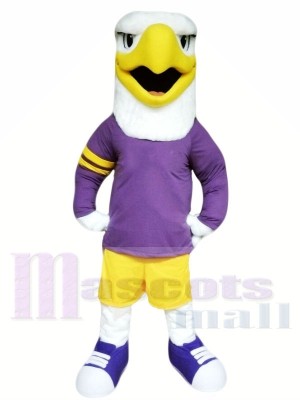 College Hawk Mascot Costumes