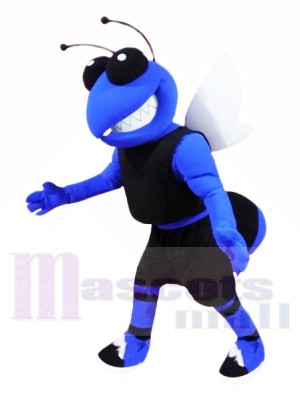 College Blue Hornet Mascot Costumes