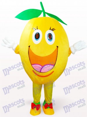 Fruit Orange Plush Mascot Costume