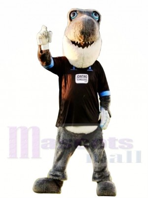 Sussex Cricket Gray Shark Mascot Costume 