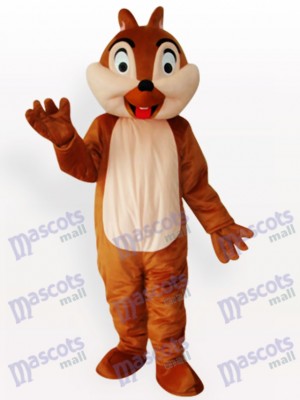 Squirrel Boy Animal Adult Mascot Funny Costume