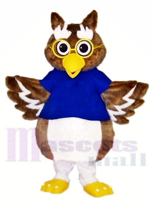 Cute Owl Mascot Costumes