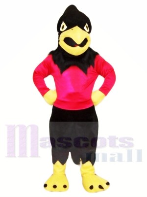 Sport Black Falcon Mascot Costumes Animal