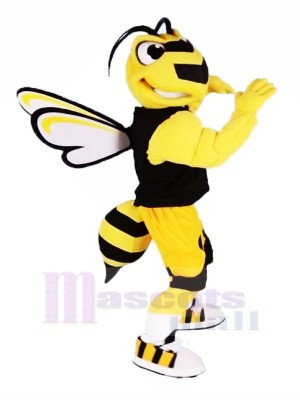 Cool Sport Bee Mascot Costumes Cartoon