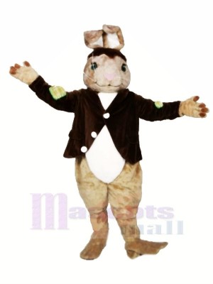 High Quality Brown Rabbit Mascot Costumes Adult	