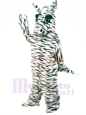 Friendly Zebra Mascot Costumes Cartoon	