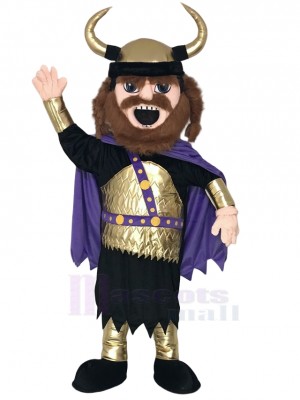 Viking Mascot Costume