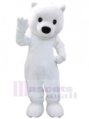 Bear mascot costume