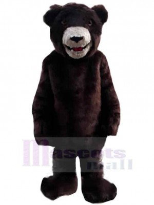 Bear mascot costume