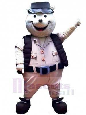 Bear mascot costume