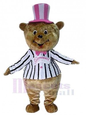 Bear mascot costume
