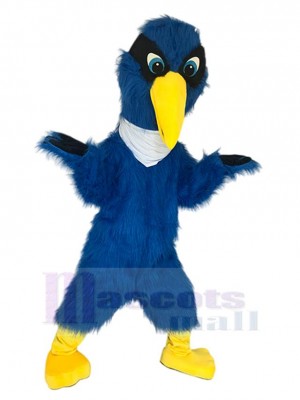 Bird mascot costume