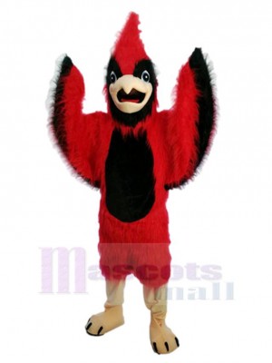 Bird mascot costume