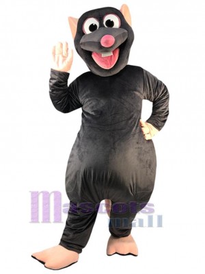 Rat Mouse mascot costume