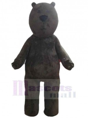 Bear mascot costume