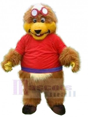 Bear mascot costume