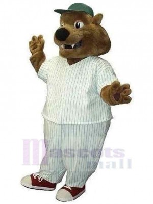 Bear mascot costume