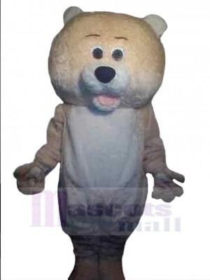 Bear mascot costume