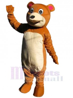 Bear mascot costume