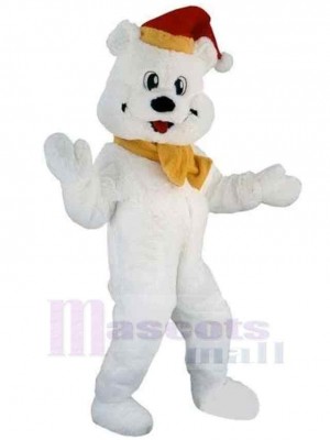 Bear mascot costume