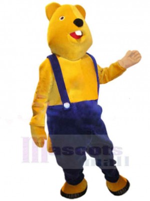 Bear mascot costume