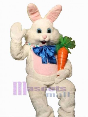 Easter Bunny Rabbit mascot costume