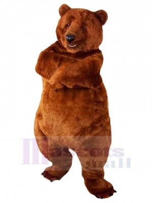 Bear mascot costume