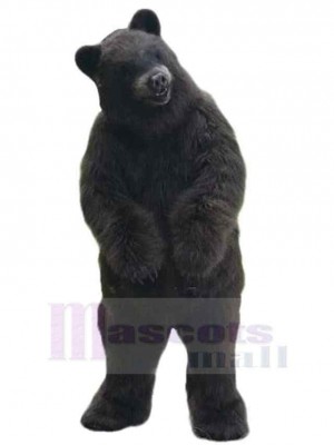 Bear mascot costume