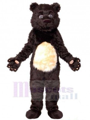 Bear mascot costume