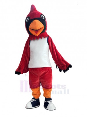 Cardinal Bird mascot costume