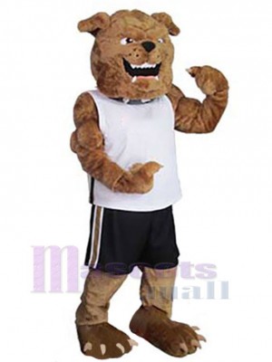Dog mascot costume