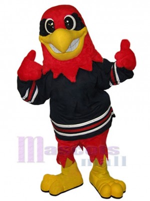 Hawk mascot costume