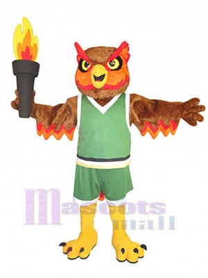 Owl mascot costume