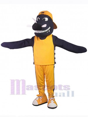 Dragon mascot costume