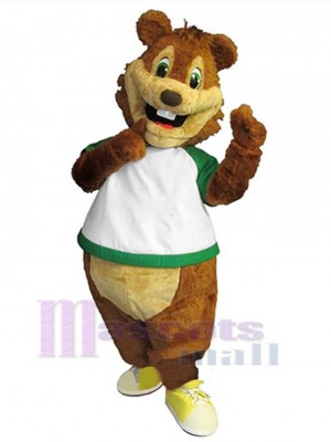 Squirrel mascot costume