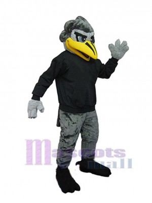 Roadrunner Bird mascot costume