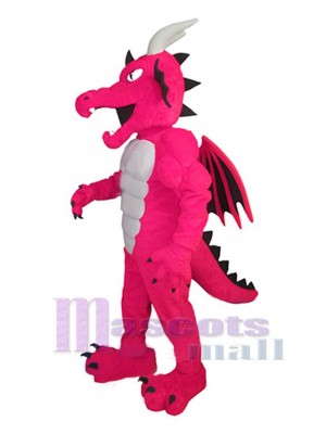 Dragon mascot costume