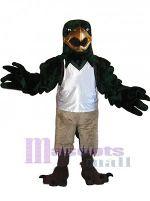 Falcon mascot costume