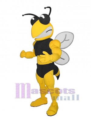 Bee mascot costume