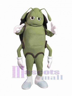 Cockroach mascot costume