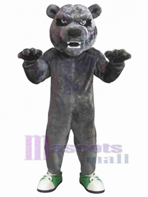 Bear mascot costume