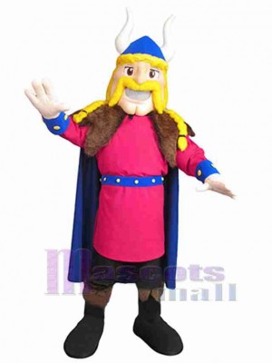 Viking mascot costume