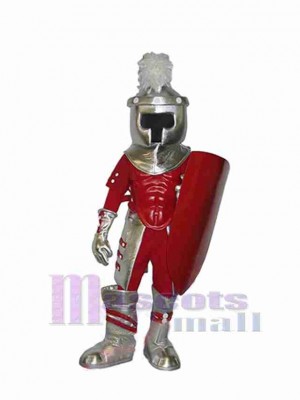 Knight mascot costume