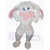 Easter Bunny Rabbit mascot costume