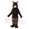 Brown Squirrel Mascot Costumes 