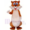 High Quality Chubby Squirrel Mascot Costumes 