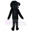 Killer Whale mascot costume